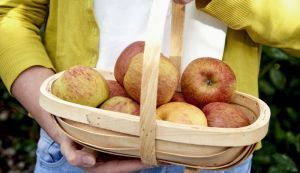 Van Amerongen Apple storage