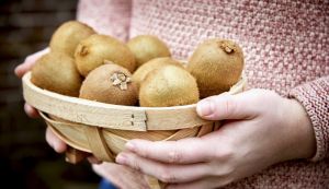 Van Amerongen Kiwi storage