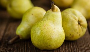 Van Amerongen Controlled Atmosphere